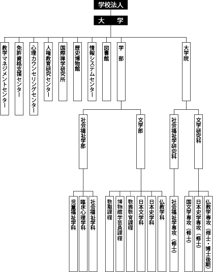 教育・研究組織図