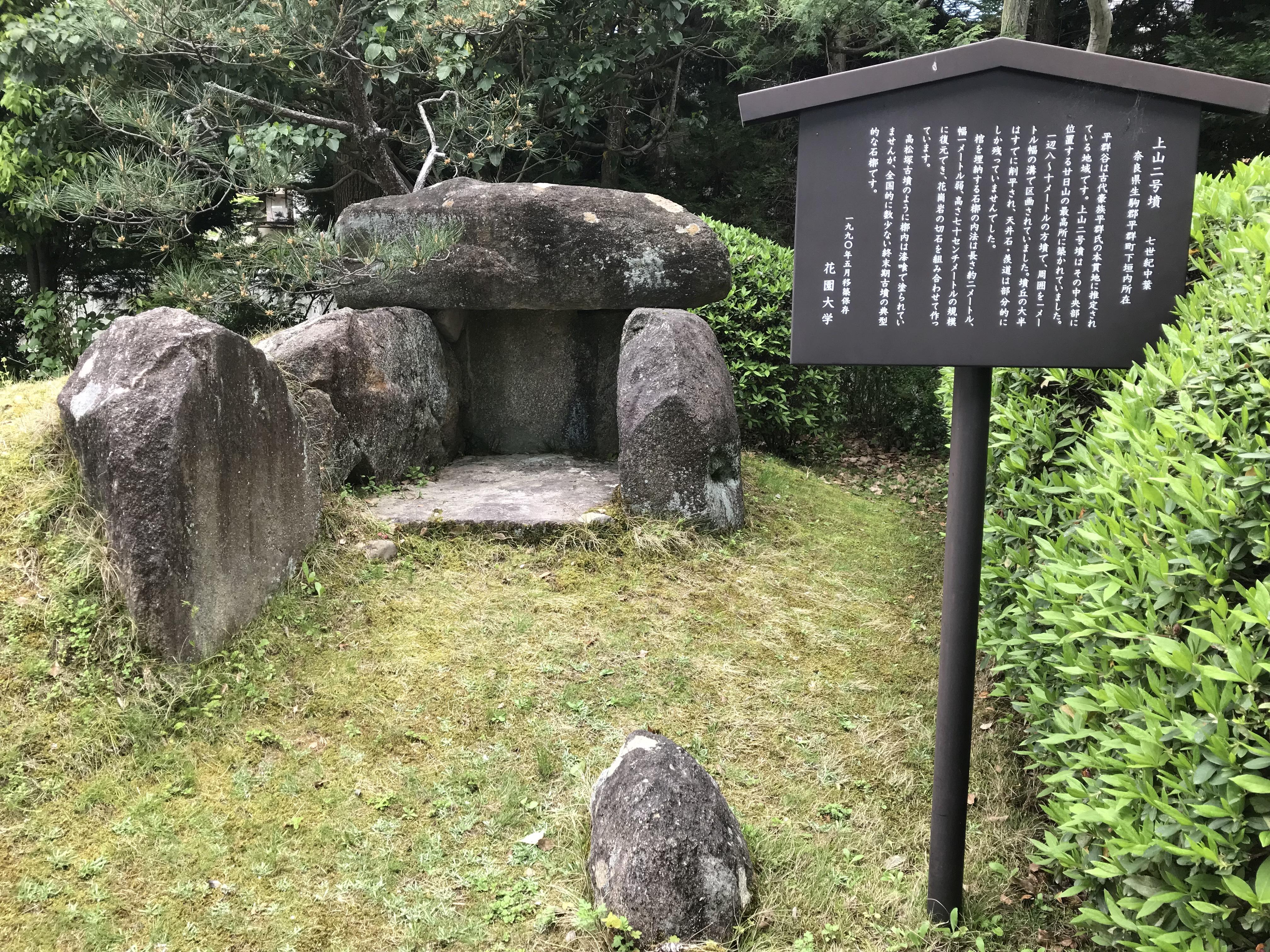IMG_0626.jpeg