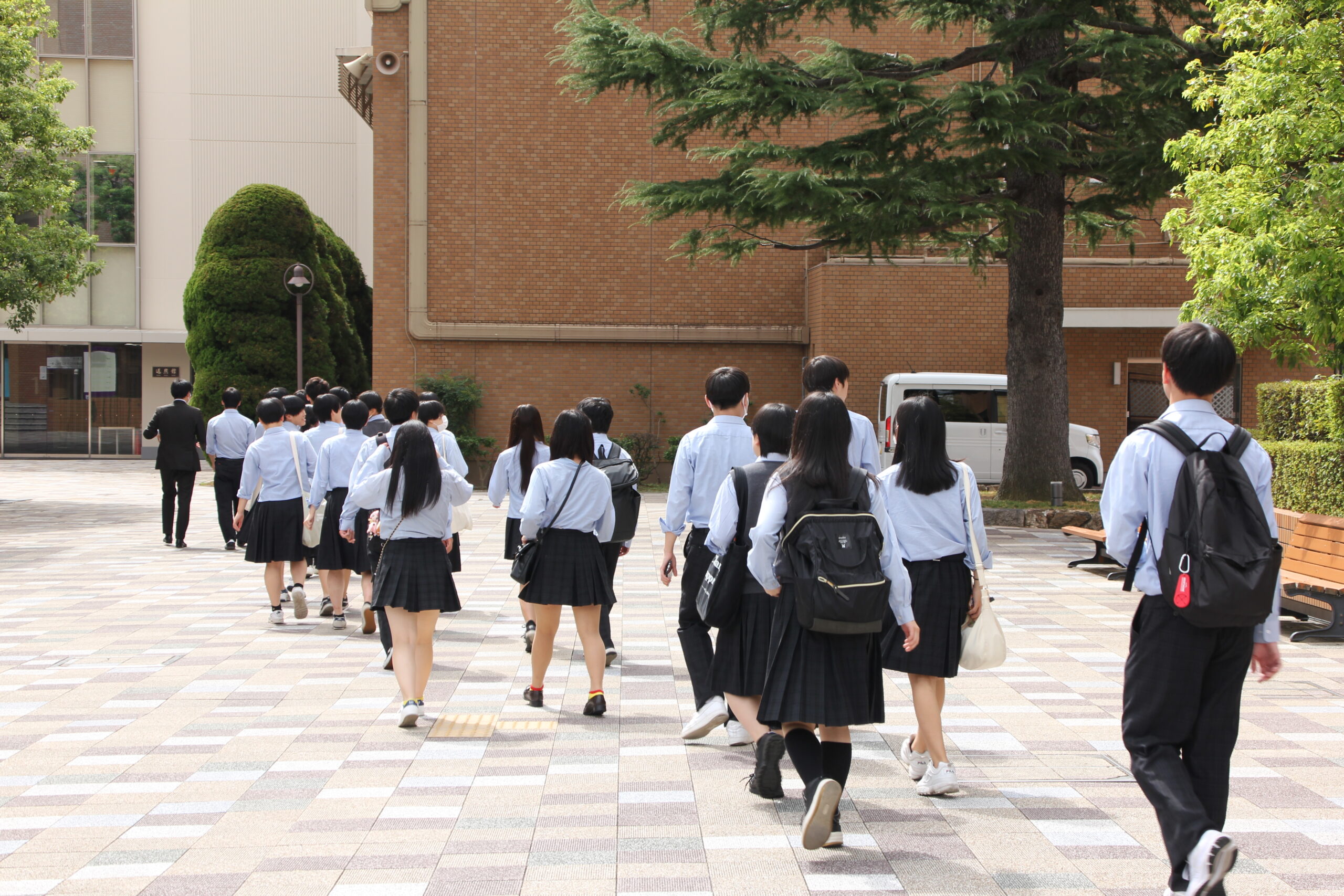 活動歴および当時の関連ビジュアル記録