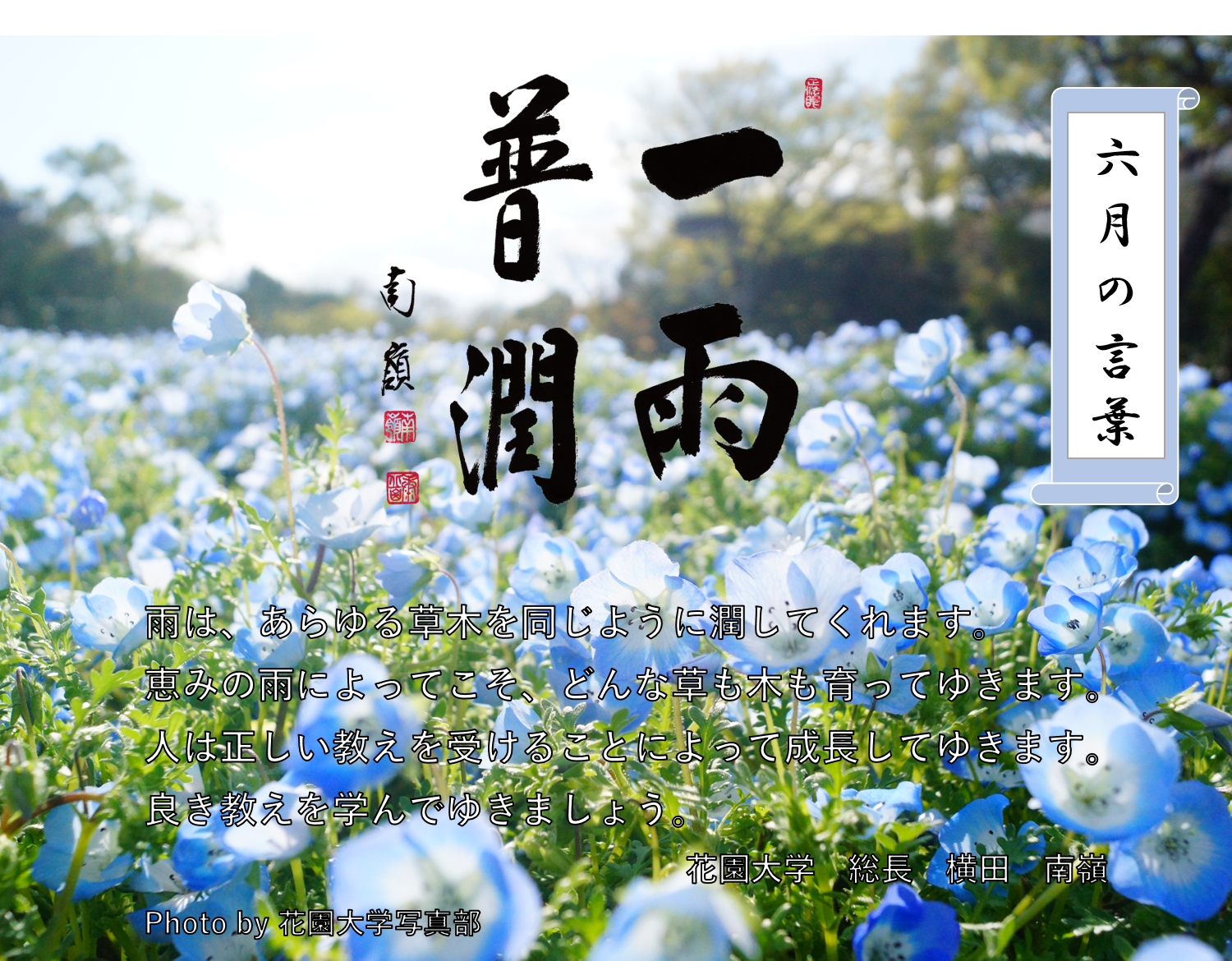 六月の言葉「一雨普潤」